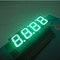 Display a LED a 7 segmenti a 4 cifre 5V Ande comune/Display a LED numerico a catodo comune