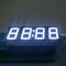 Segmento puro della cifra 7 dell'esposizione 4 dell'orologio di verde LED per il temporizzatore industriale