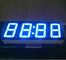 Esposizione comune 0,56&quot; ultra blu dell'orologio dell'anodo LED per Withstand 120℃ del temporizzatore del forno