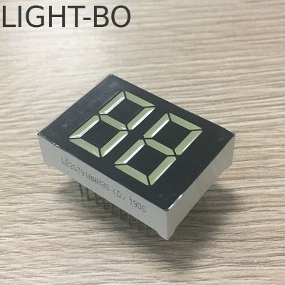 Un buon prezzo. Display a LED a 2 cifre a 7 segmenti da 20 mm in colore bianco per scaldabagno digitale in linea