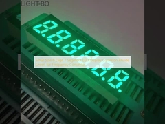 Display a LED a 6 cifre e 7 segmenti verde anodo comune per convertitore di frequenza